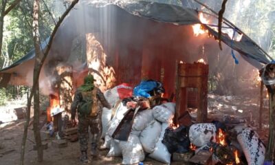 La Operación Nueva Alianza 51 destruye más de un millón de kilos de marihuana en solo 12 días.