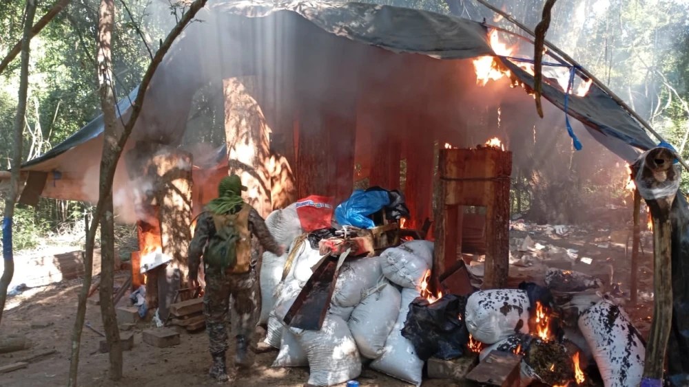 La Operación Nueva Alianza 51 destruye más de un millón de kilos de marihuana en solo 12 días. La Operación Nueva Alianza 51 destruye más de un millón de kilos de marihuana en solo 12 días.