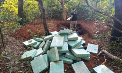SENAD confisca cerca de dos toneladas de marihuana compactada en Cerro Corá.