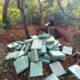 SENAD confisca cerca de dos toneladas de marihuana compactada en Cerro Corá.