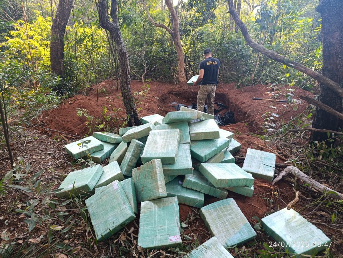 SENAD confisca cerca de dos toneladas de marihuana compactada en Cerro Corá.