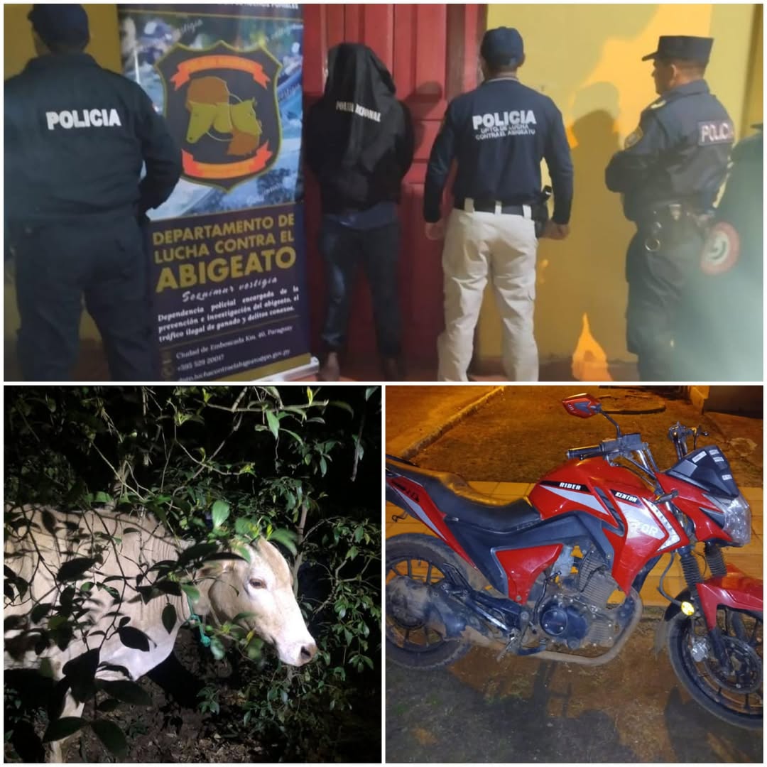 Guairá aprehensión por hurto de animal vacuno recuperado exitosamente Guairá aprehensión por hurto de animal vacuno recuperado exitosamente
