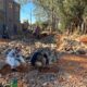 PJC: Inauguración de obras viales en barrio Gral Génes para progreso comunitario