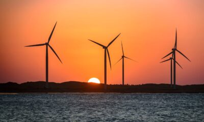 América Latina y los estados del Golfo: ¿Una nueva era de inversión y cooperación estratégica? | América Futura