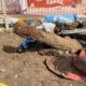Cañones, huesos de animales y restos de cerámica: la remodelación del centro histórico de Veracruz Vestigios no publicados del puerto