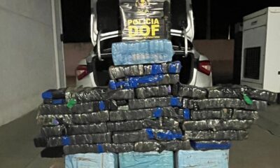 DOF incauta más de 200 kilos de marihuana en Naviraí con destino a Paraná