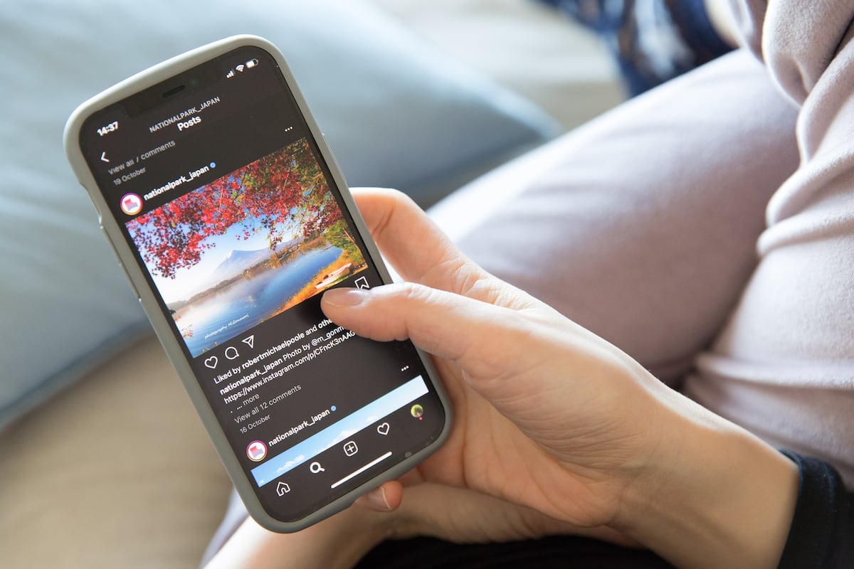 Las direcciones de las redes sociales engañan a los usuarios: así anunciando en Instagram | Tecnología Las direcciones de las redes sociales engañan a los usuarios: así anunciando en Instagram | Tecnología