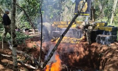 SENAD quema 7.000 kilos de cannabis en una zona forestal de Bella Vista Norte.