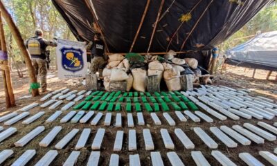 Desmantelan propiedad en Capitán Bado y confiscan 1.500 kilos de marihuana.