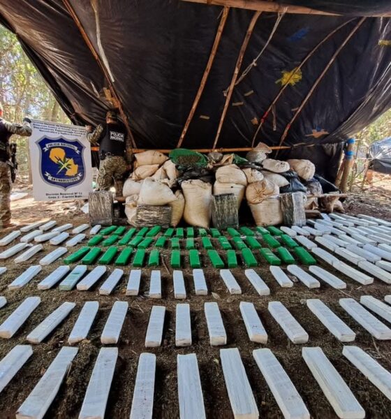 Desmantelan propiedad en Capitán Bado y confiscan 1.500 kilos de marihuana.