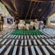 Desmantelan propiedad en Capitán Bado y confiscan 1.500 kilos de marihuana.