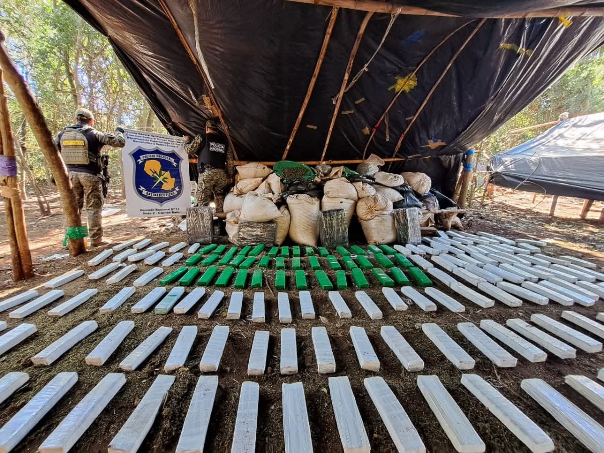 Desmantelan propiedad en Capitán Bado y confiscan 1.500 kilos de marihuana. Desmantelan propiedad en Capitán Bado y confiscan 1.500 kilos de marihuana.