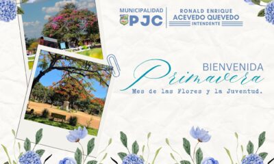 PJC: Celebrando la primavera y la juventud en un mundo lleno de belleza