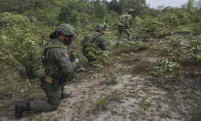 Bombardeos y glifosato: Petro apela a las ideas de seguridad que criticó anteriormente