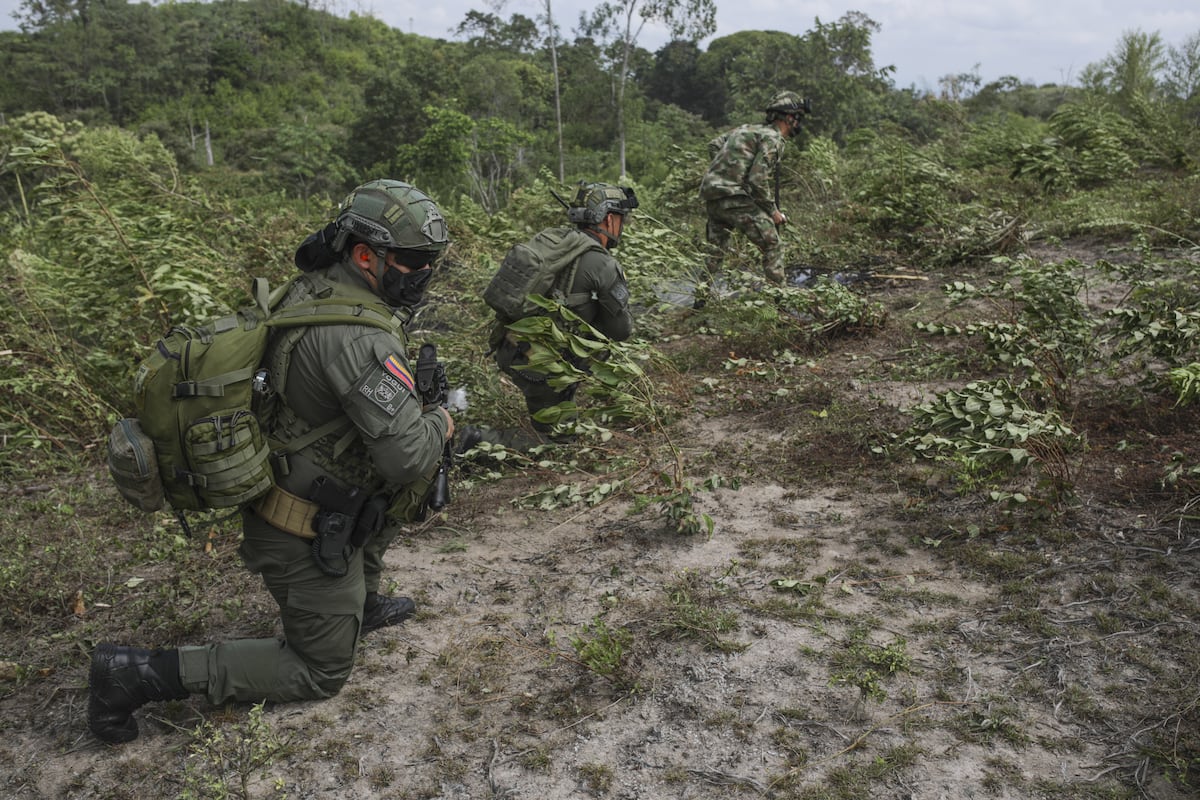 Bombardeos y glifosato: Petro apela a las ideas de seguridad que criticó anteriormente Bombardeos y glifosato: Petro apela a las ideas de seguridad que criticó anteriormente