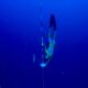 Descargue 126 metros solo con Fins: World Apnea Record para el Molchanov ruso | Videos