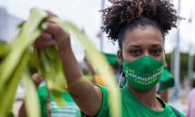 El feminismo dominicano en torno a las tres causas necesita hacer auto -crítica y renovar | Boletín estadounidense