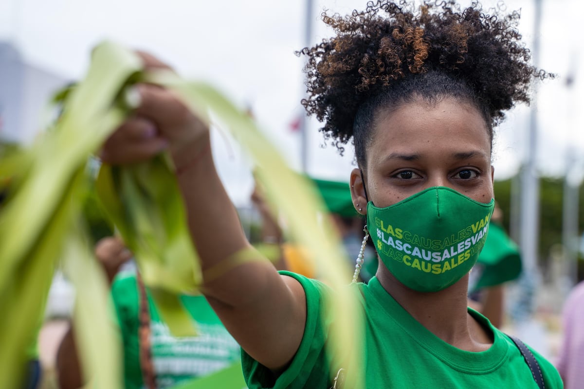 El feminismo dominicano en torno a las tres causas necesita hacer auto -crítica y renovar | Boletín estadounidense El feminismo dominicano en torno a las tres causas necesita hacer auto -crítica y renovar | Boletín estadounidense