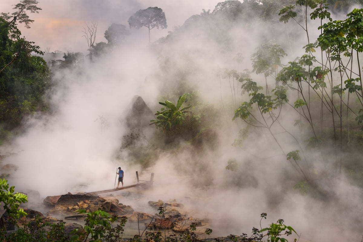 El río más grande del Amazonas, en peligro por la deforestación | América Futura