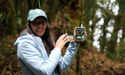 La batalla para mantener la Sierra de Las Minas, el bosque nuboso más grande de América Central | América Futura