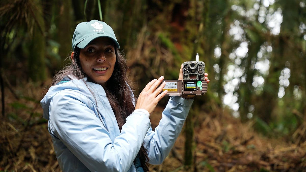 La batalla para mantener la Sierra de Las Minas, el bosque nuboso más grande de América Central | América Futura
