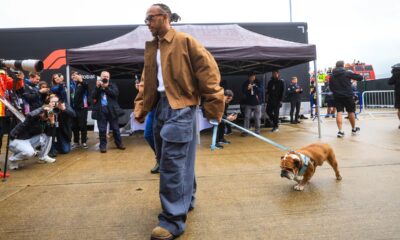 Lewis Hamilton se despide de ‘Roscoe’, su perro con 1,4 millones de fanáticos en Instagram | Gente