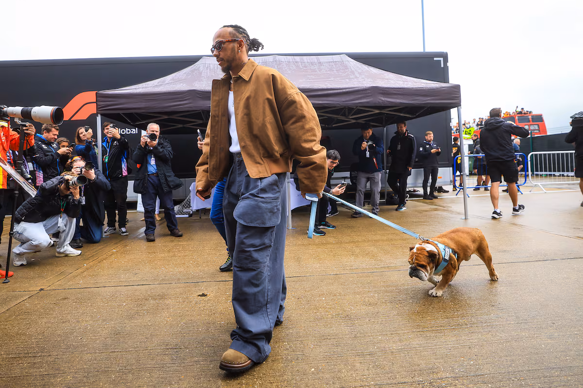 Lewis Hamilton se despide de ‘Roscoe’, su perro con 1,4 millones de fanáticos en Instagram | Gente