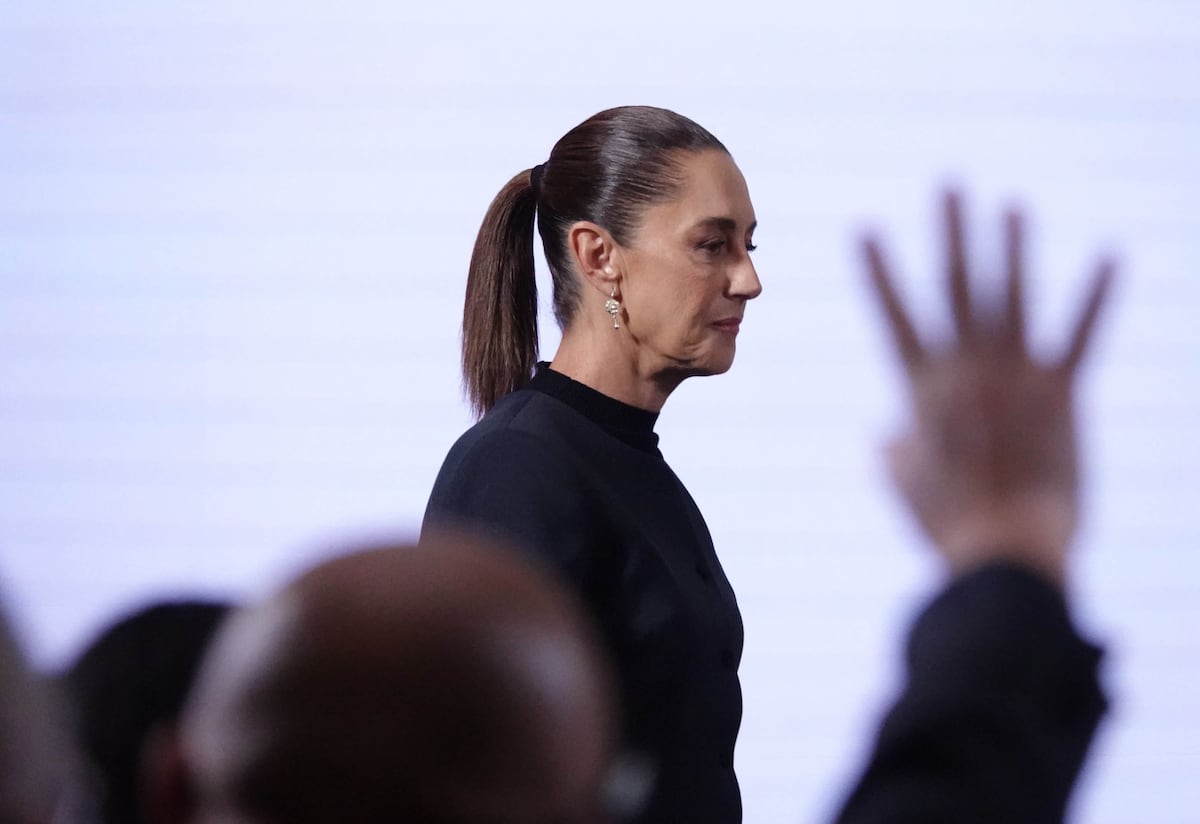 Sheinbaum: Colaroscuro económico de su primer año | Opinión