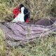 Hallan el cuerpo de un indígena junto a un arroyo en Capitán Bado.