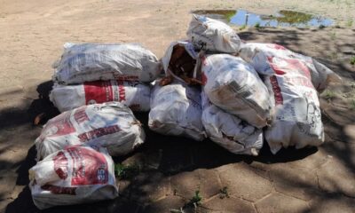 Confiscan carga de mandioca ilegal en la frontera de Pedro Juan Caballero.