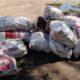 Confiscan carga de mandioca ilegal en la frontera de Pedro Juan Caballero.