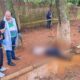 Motociclista fallece al impactar contra un árbol en Pedro Juan Caballero.
