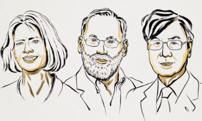 2025 Premio Nobel de Medicina para Mary E. Brunkow, Fred Ramsdell y Shimon Sakaguchi por identificar los «Guardias de seguridad del sistema inmune» | Ciencia