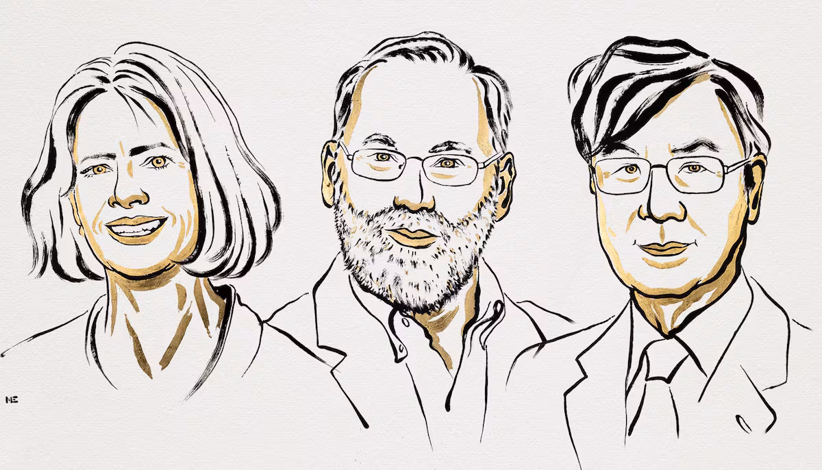 2025 Premio Nobel de Medicina para Mary E. Brunkow, Fred Ramsdell y Shimon Sakaguchi por identificar los «Guardias de seguridad del sistema inmune» | Ciencia