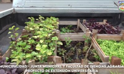 PJC: Convenio para la cooperación interinstitucional en revitalización de espacios públicos.