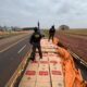 DOF intercepta caminhão com carga de cigarros ilegais a caminho do Paraná.