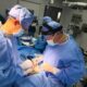 Hígado de cerdo genéticamente modificado trasplantado por primera vez a una persona viva | Salud y bienestar