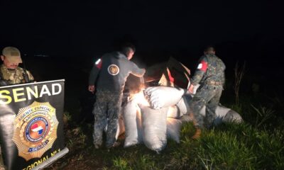 Incautan más de 2,6 toneladas de marihuana en operativo conjunto en Karapa’i