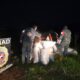 Incautan más de 2,6 toneladas de marihuana en operativo conjunto en Karapa’i