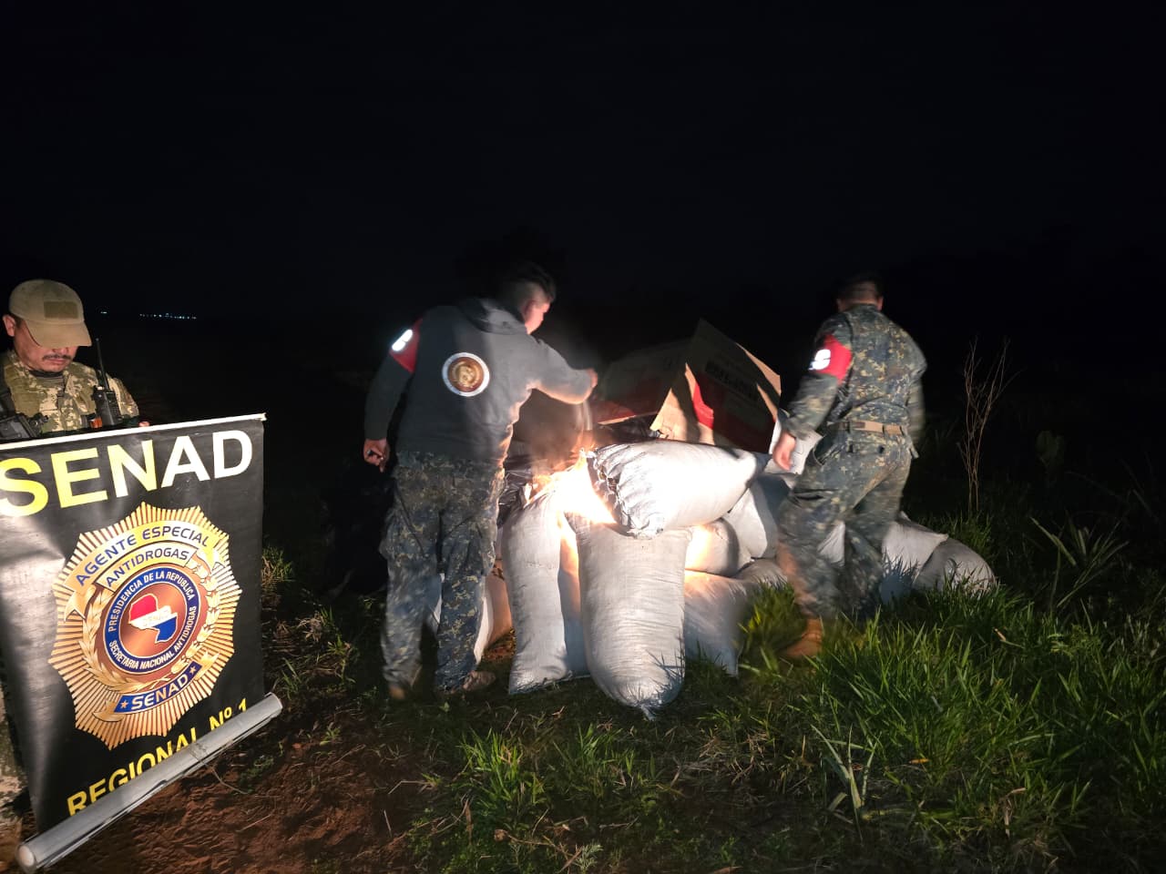 Incautan más de 2,6 toneladas de marihuana en operativo conjunto en Karapa’i Incautan más de 2,6 toneladas de marihuana en operativo conjunto en Karapa’i
