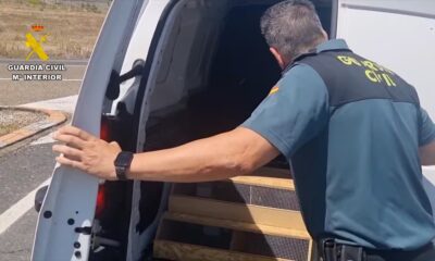 Investigan a un vecino de Molina de Segura en Murcia por tener en el jardín de su casa 6 tortugas protegidas y en peligro de extinción | España