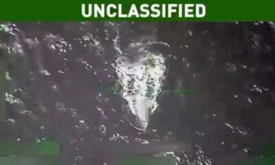 Tras los pasos del colombiano que sobrevivió al bombardeo de Trump a un narcosubmarino