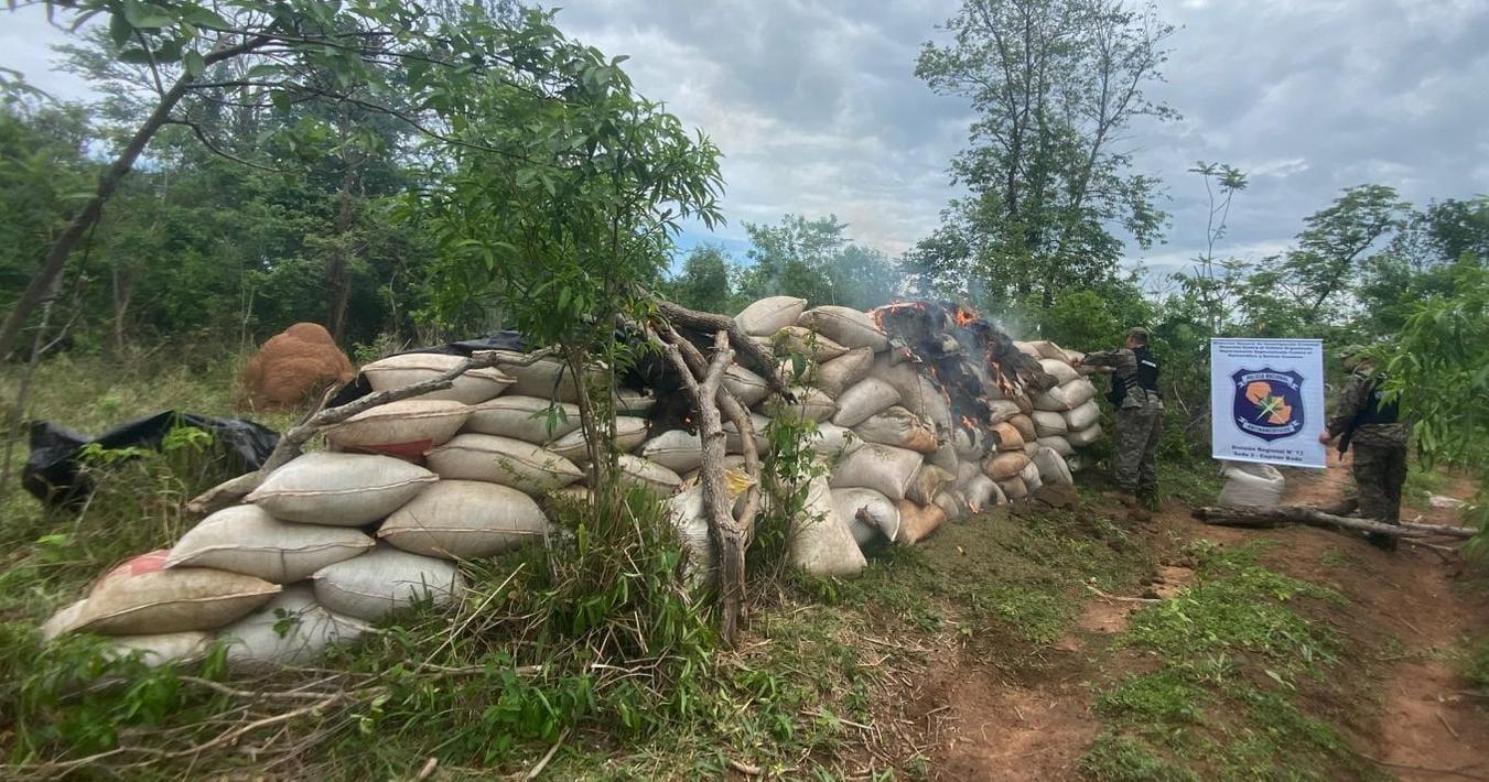 Allanamiento en Amambay: destruyen 3000 kg de marihuana incautada