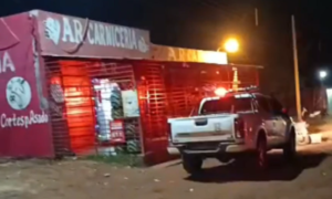 Asesina a carnicero en Jardín Aurora