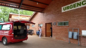 Ataque de abejas deja grave a una adolescente en Cerro Corá