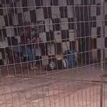 Ponta Porã: Joven es ultimado de varios balazos en un lavadero