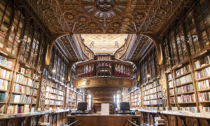 Ingreso al Hospital Regional de Pedro Juan Caballero por heridas de arma de fuego