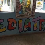 Niño de 2 años es atacado por una serpiente yarará mientras juega en Bella Vista Norte
