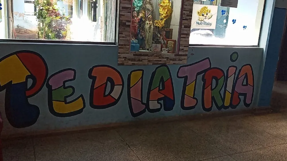 Niño de 2 años es atacado por una serpiente yarará mientras juega en Bella Vista Norte